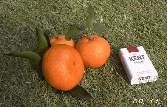 �䂪�Ƃ̔ӏH�̎��n�@�����ł�