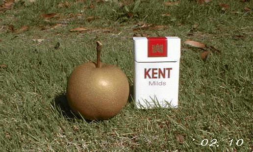 �䂪�Ƃ̒��H�̎��n�@���ł�