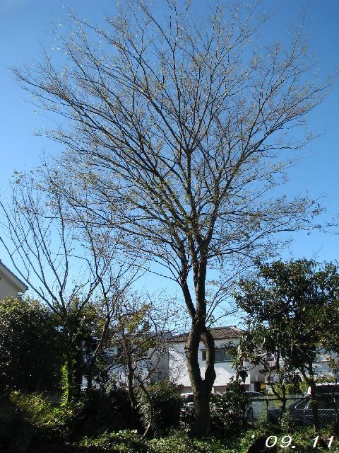 �w���������O�x�ł�