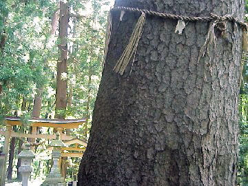 ���ڐ����_�Ђ̋���