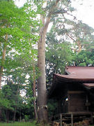 ���ڐ����_�Ђ̋���