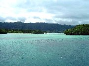 �Ί_����약�p