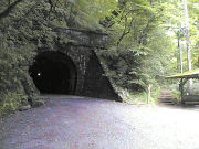 ���V��g���l��