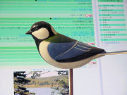 �V�W���E�J��