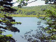 ���������������u����v