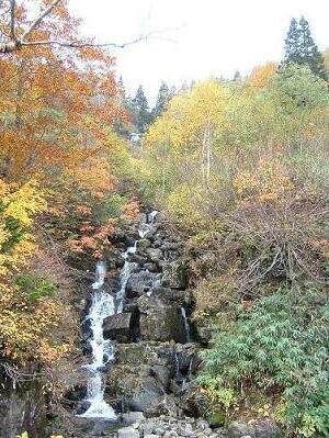 �����̑�