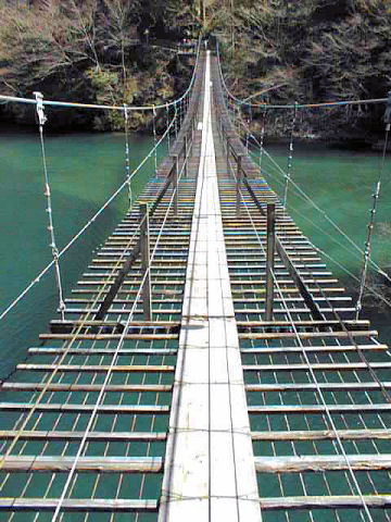 ���������̒݋�