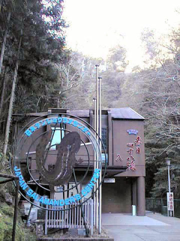 �Ԗڎl�\����