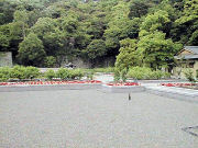 ���R���̊ے뉀