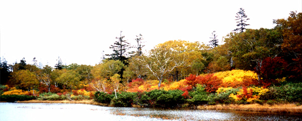 �j�Z�R�_���