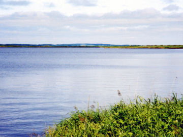 �p���P��