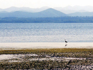 �T���}��