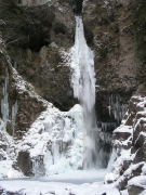 �����̑�