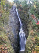 �����̑�i�H�c�����p�s�j