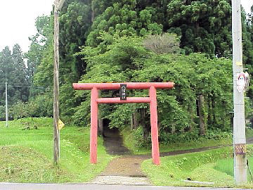 �����_��