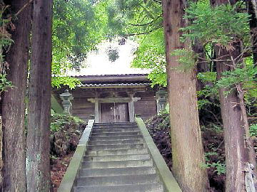 ������_��