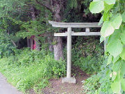 ���X��א_��