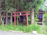 �����_��