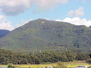 �I�V�L�̌��n�u�k�сi�R�j�̏㕔�t�߁v