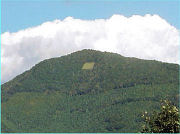 �I�V�L�̌��n�u�k�сi�R�j�̏㕔�t�߁v