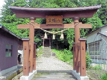 �����_��