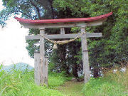 �����_��