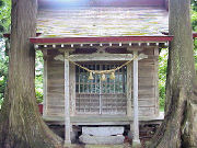 �����_��