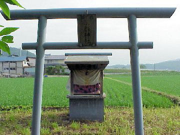 ���P�l�i���O�l���`�_�Ёj