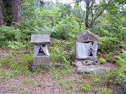 �����l�Ɩ�t�l