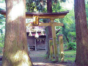 �����_��