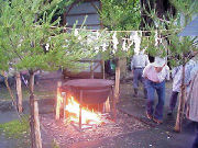 �u�������Đ_���v�l