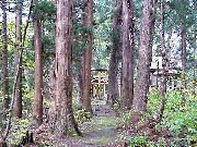 �_�Ђւǂ���