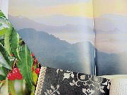 ���t�J�����U��