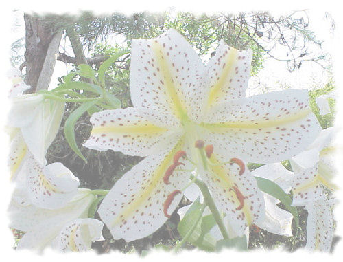 ���}����