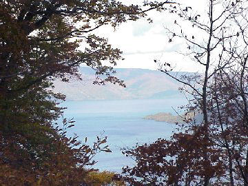 �X�̒�����\�a�c�΂��i�H�c���j