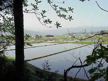 �c�A���O�i�H�c���j