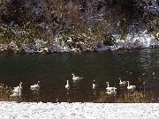 �I�I�n�N�`���E