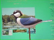 �V�W���E�J��