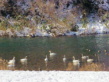 �I�I�n�N�`���E