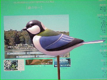 �V�W���E�J��