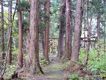 ����̐X�ƎQ��