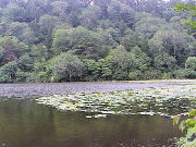 �����������i�H�c���j