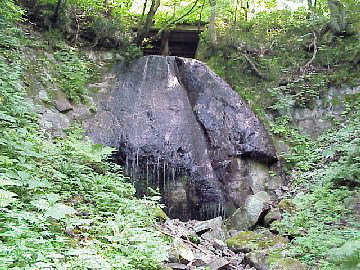 ������̑�