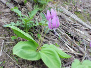 H15.05.14�J�^�N��