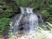 ������̑�