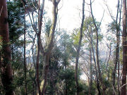 �����R����̒��� H18.3.25