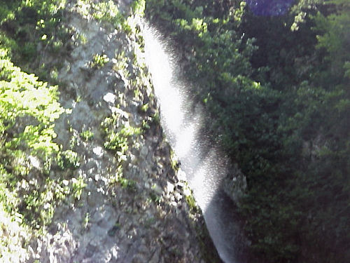 ���p�̑�W���i�����̑�j