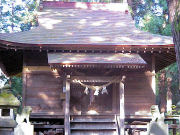 �����_��