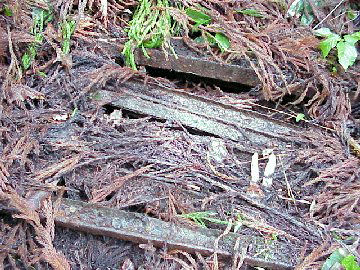 �̌@����ɐς܂�Ă��郌�[��