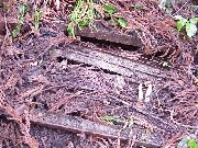 �̌@����ɐς܂�Ă��郌�[��